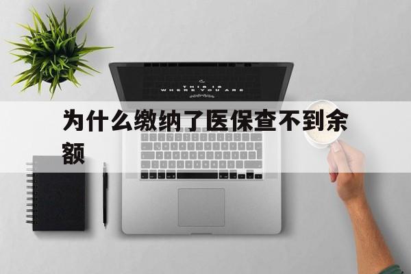黔东最新为什么缴纳了医保查不到余额方法分析(最方便真实的黔东医保交了费怎么查不到方法)